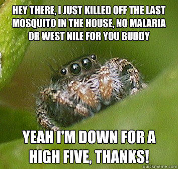 hey there, I just killed off the last mosquito in the house, no malaria or west nile for you buddy yeah I'm down for a high five, thanks!  Misunderstood Spider