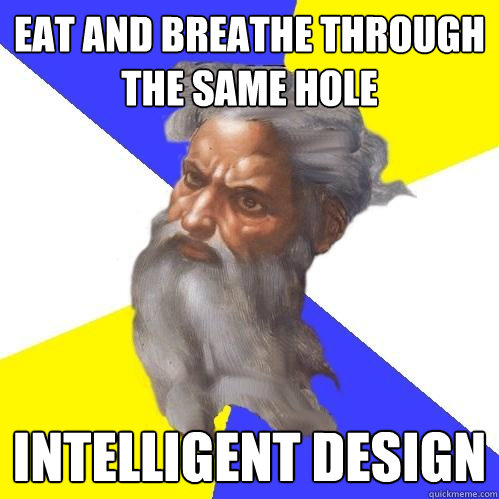 eat and breathe through the same hole intelligent design  Advice God