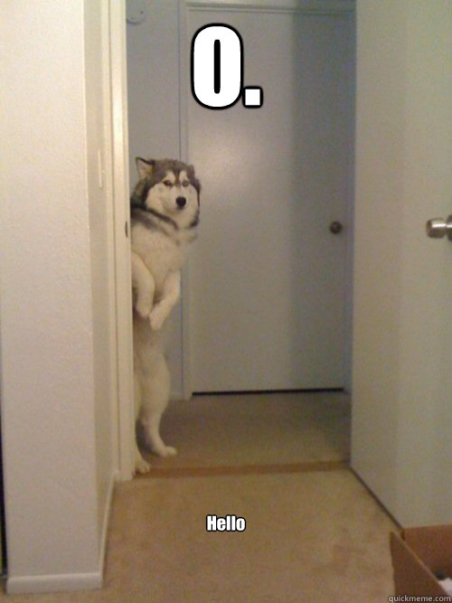 O. Hello - O. Hello  awkward husky