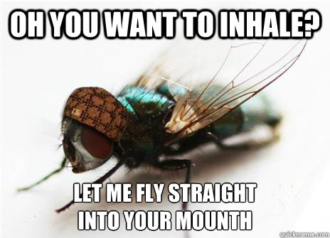 Oh you want to inhale? Let me fly straight 
into your mounth - Oh you want to inhale? Let me fly straight 
into your mounth  Scumbag Fly