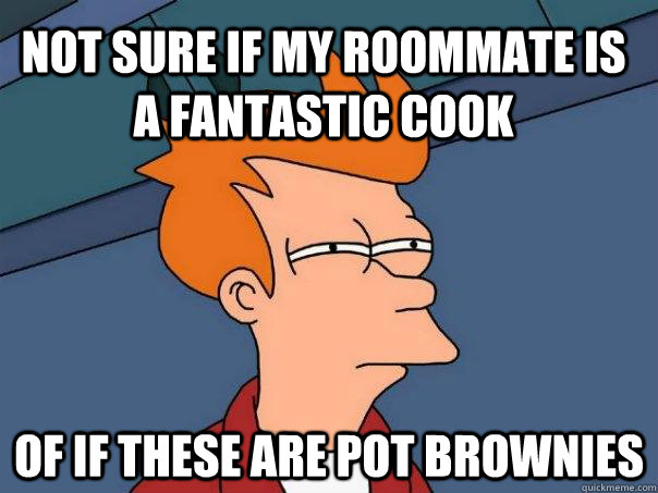 not sure if my roommate is a fantastic cook of if these are pot brownies  Futurama Fry
