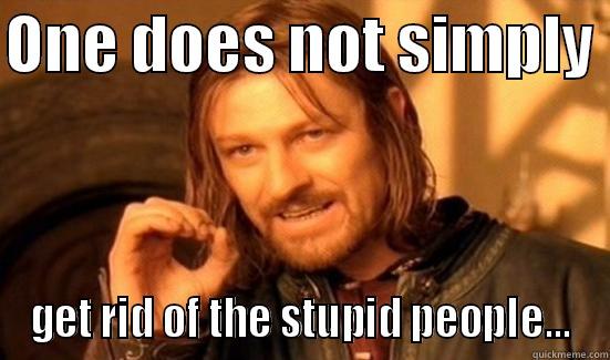 ONE DOES NOT SIMPLY  GET RID OF THE STUPID PEOPLE... Boromir