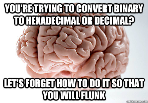 You're trying to convert binary to hexadecimal or decimal? Let's forget how to do it so that you will flunk  Scumbag Brain