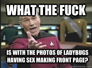 What the fuck is with the photos of ladybugs having sex making front page?  Annoyed Picard