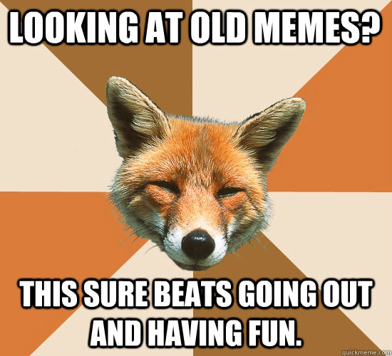 looking at old memes? this sure beats going out and having fun. - looking at old memes? this sure beats going out and having fun.  Condescending Fox