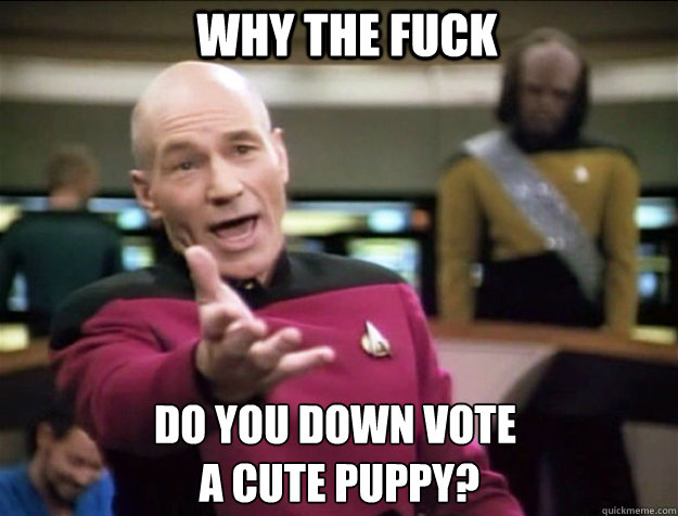 WHY THE FUCK Do you down vote
 a cute puppy?  Piccard 2