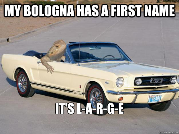 My bologna has a first name It's L-A-R-G-E

  Pickup Dragon