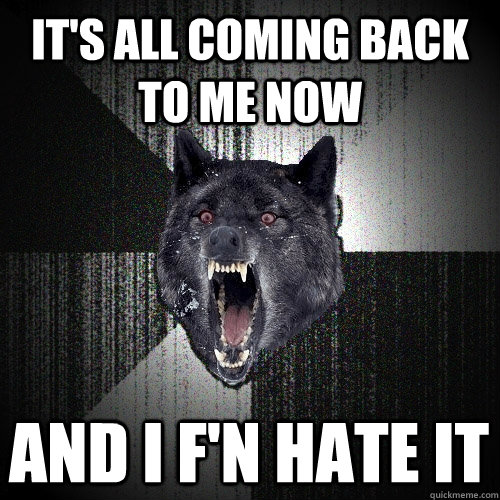 IT'S ALL COMING BACK TO ME NOW AND I F'N HATE IT  Insanity Wolf