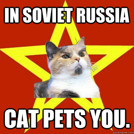 in soviet russia cat pets you. 