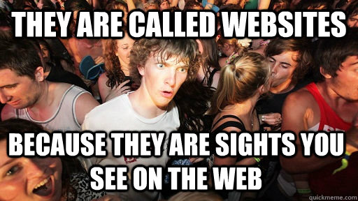 They are called websites Because they are sights you see on the web  Sudden Clarity Clarence