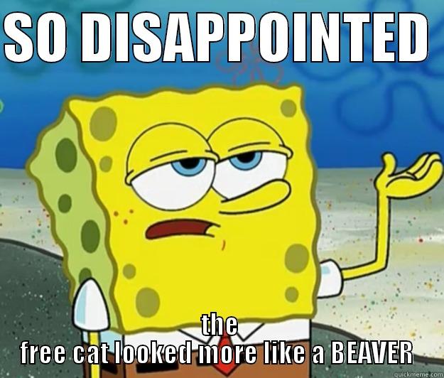 SO DISAPPOINTED  THE FREE CAT LOOKED MORE LIKE A BEAVER  Tough Spongebob