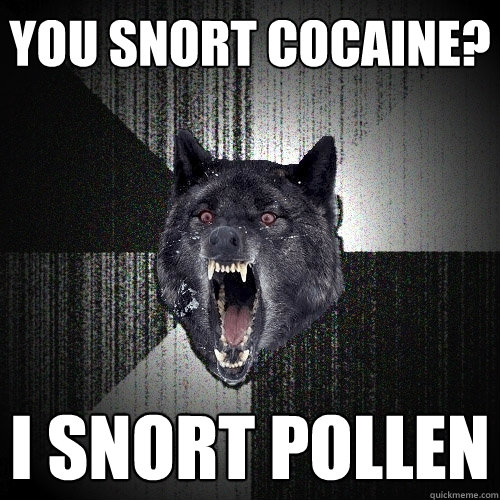 YOU SNORT COCAINE? I SNORT POLLEN  Insanity Wolf