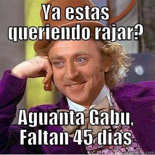 YA ESTAS QUERIENDO RAJAR? AGUANTA GABU, FALTAN 45 DIAS Condescending Wonka