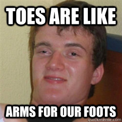 toes are like arms for our foots  Toes