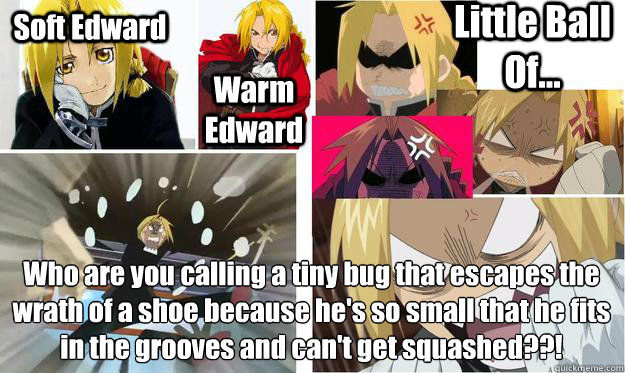 Soft Edward Warm Edward Little Ball Of... Who are you calling a tiny bug that escapes the wrath of a shoe because he's so small that he fits in the grooves and can't get squashed??!  Edward Elric