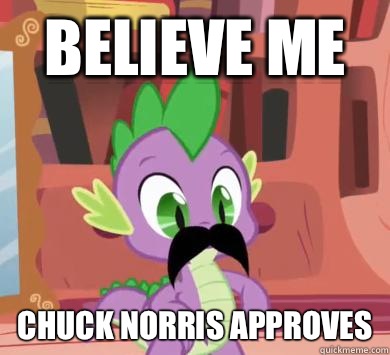 Believe me Chuck Norris approves  My little pony