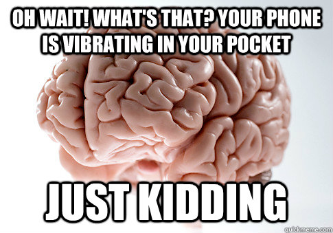 oh wait! what's that? Your phone is vibrating in your pocket JUST KIDDING  Scumbag Brain