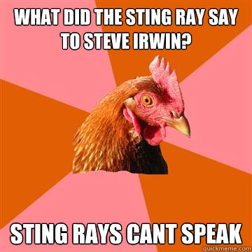What did the Sting ray say to steve irwin? Sting rays cant speak - What did the Sting ray say to steve irwin? Sting rays cant speak  Anti-Joke Chicken