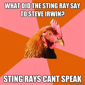 What did the Sting ray say to steve irwin? Sting rays cant speak  Anti-Joke Chicken
