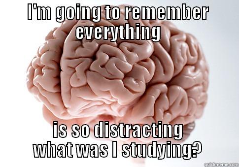 I'M GOING TO REMEMBER EVERYTHING IS SO DISTRACTING WHAT WAS I STUDYING? Scumbag Brain