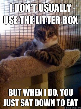 I don't usually use the litter box but when I do, you just sat down to eat  The Most Interesting Cat in the World