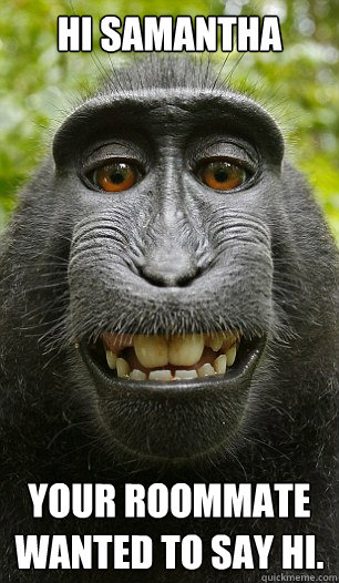 HI Samantha your roommate wanted to say hi.  Mindful Macaque