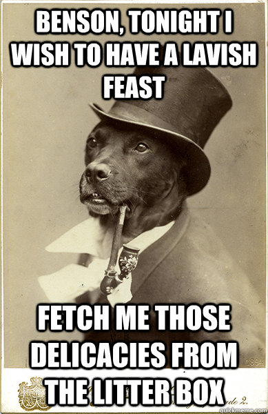 Benson, tonight I wish to have a lavish feast Fetch me those delicacies from the litter box - Benson, tonight I wish to have a lavish feast Fetch me those delicacies from the litter box  Old Money Dog