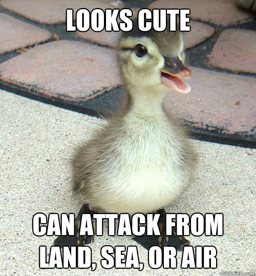 Looks cute Can attack from land, sea, or air - Looks cute Can attack from land, sea, or air  Doom Duck