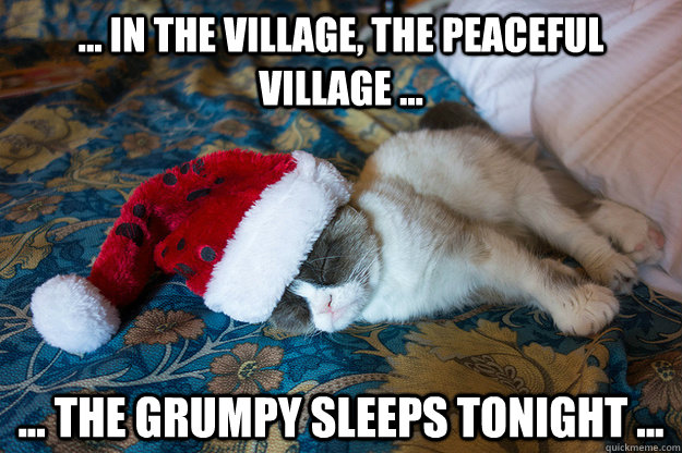 ... In the village, the peaceful village ... ... the grumpy sleeps tonight ...  Grumpy Cat Sleeping