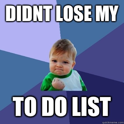 Didnt lose my to do list   Success Kid