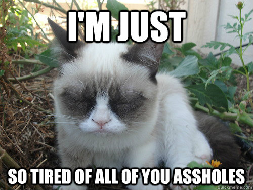 i'm just so tired of all of you assholes - i'm just so tired of all of you assholes  Poor Grumpy Cat