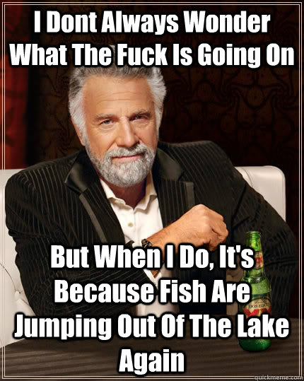 I Dont Always Wonder What The Fuck Is Going On But When I Do, It's Because Fish Are Jumping Out Of The Lake Again  The Most Interesting Man In The World