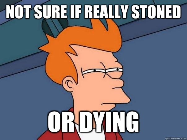 not sure if really stoned  or dying  Futurama Fry