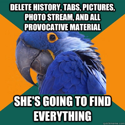 Delete history, tabs, pictures, photo stream, and all provocative material she's going to find everything  Paranoid Parrot