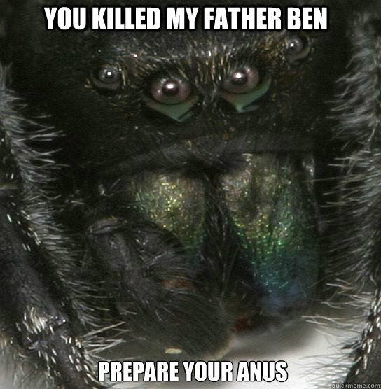 You killed my father ben Prepare your anus - You killed my father ben Prepare your anus  Vengeful Spider