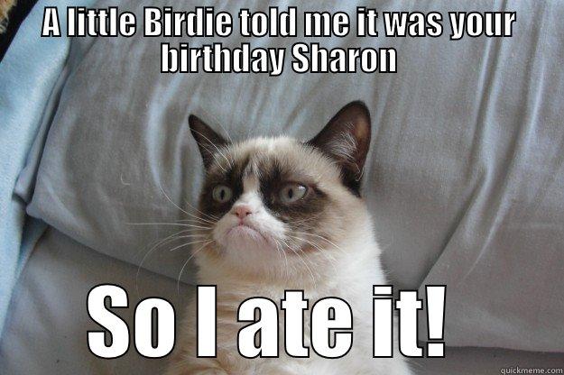 A LITTLE BIRDIE TOLD ME IT WAS YOUR BIRTHDAY SHARON SO I ATE IT!  Grumpy Cat