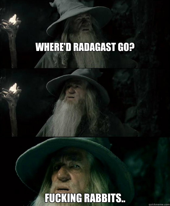 Where'd Radagast go? Fucking Rabbits..  Confused Gandalf