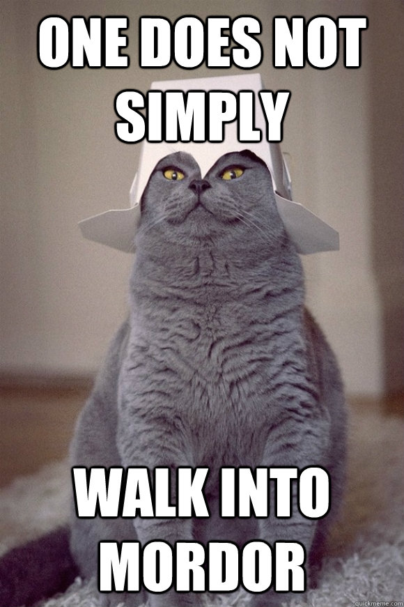 ONE DOES NOT SIMPLY WALK INTO MORDOR - ONE DOES NOT SIMPLY WALK INTO MORDOR  MORDOR CAT