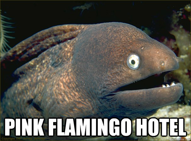  pink flamingo hotel -  pink flamingo hotel  Bad Joke Eel