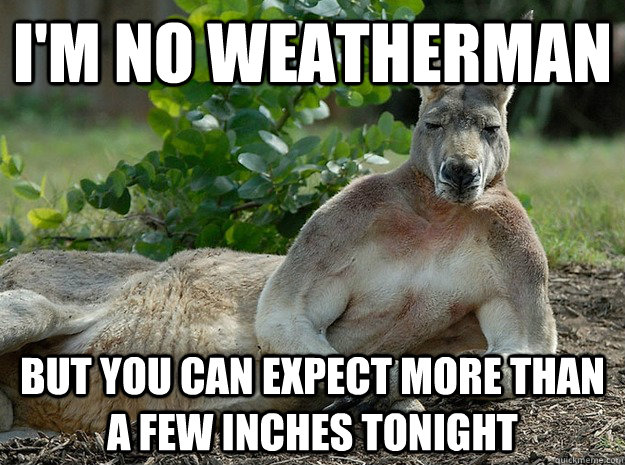 I'm no weatherman But you can expect more than a few inches tonight  Sexually Forward Kangaroo