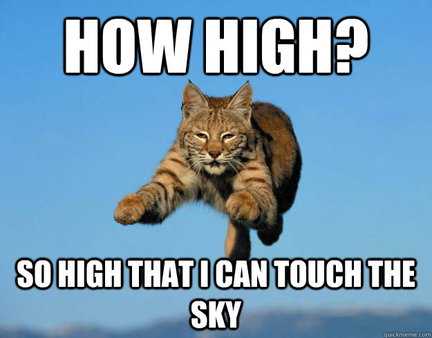 how high? so high that i can touch the sky - how high? so high that i can touch the sky  Misc