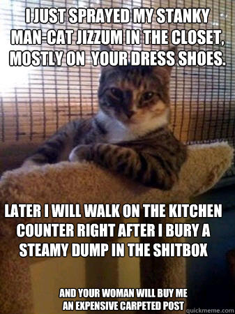 I just sprayed my stanky man-cat jizzum in the closet, mostly on  your dress shoes. later I will walk on the kitchen counter right after i bury a steamy dump in the shitbox and your woman will buy me an expensive carpeted post  The Most Interesting Cat in the World