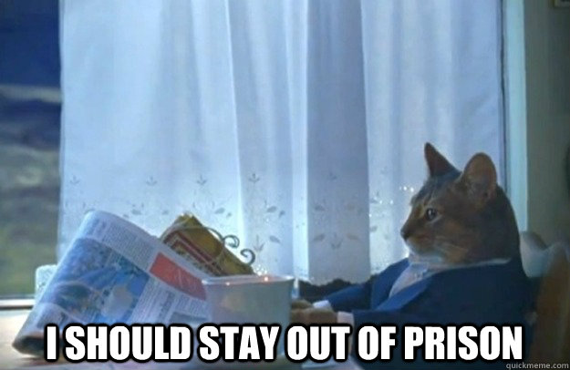  I should stay out of prison  Sophisticated Cat
