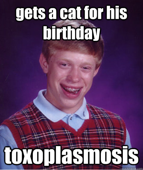 gets a cat for his birthday toxoplasmosis  Bad Luck Brian