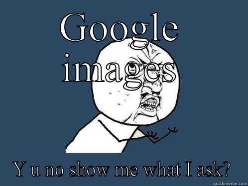 GOOGLE IMAGES Y U NO SHOW ME WHAT I ASK? Y U No