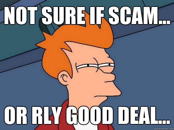 not sure if scam... or rly good deal...  Futurama Fry
