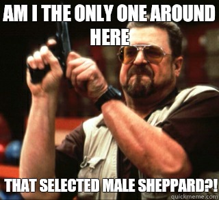 AM I THE ONLY ONE AROUND HERE THAT SELECTED MALE SHEPPARD?!  