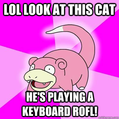 Lol look at this cat He's playing a keyboard rofl!  Slowpoke
