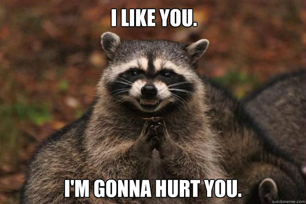 I like you. I'm gonna hurt you.  Evil Plotting Raccoon