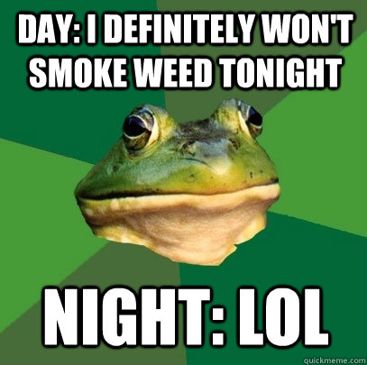 DAY: I DEFINITELY WON'T SMOKE WEED TONIGHT NIGHT: LOL  Foul Bachelor Frog